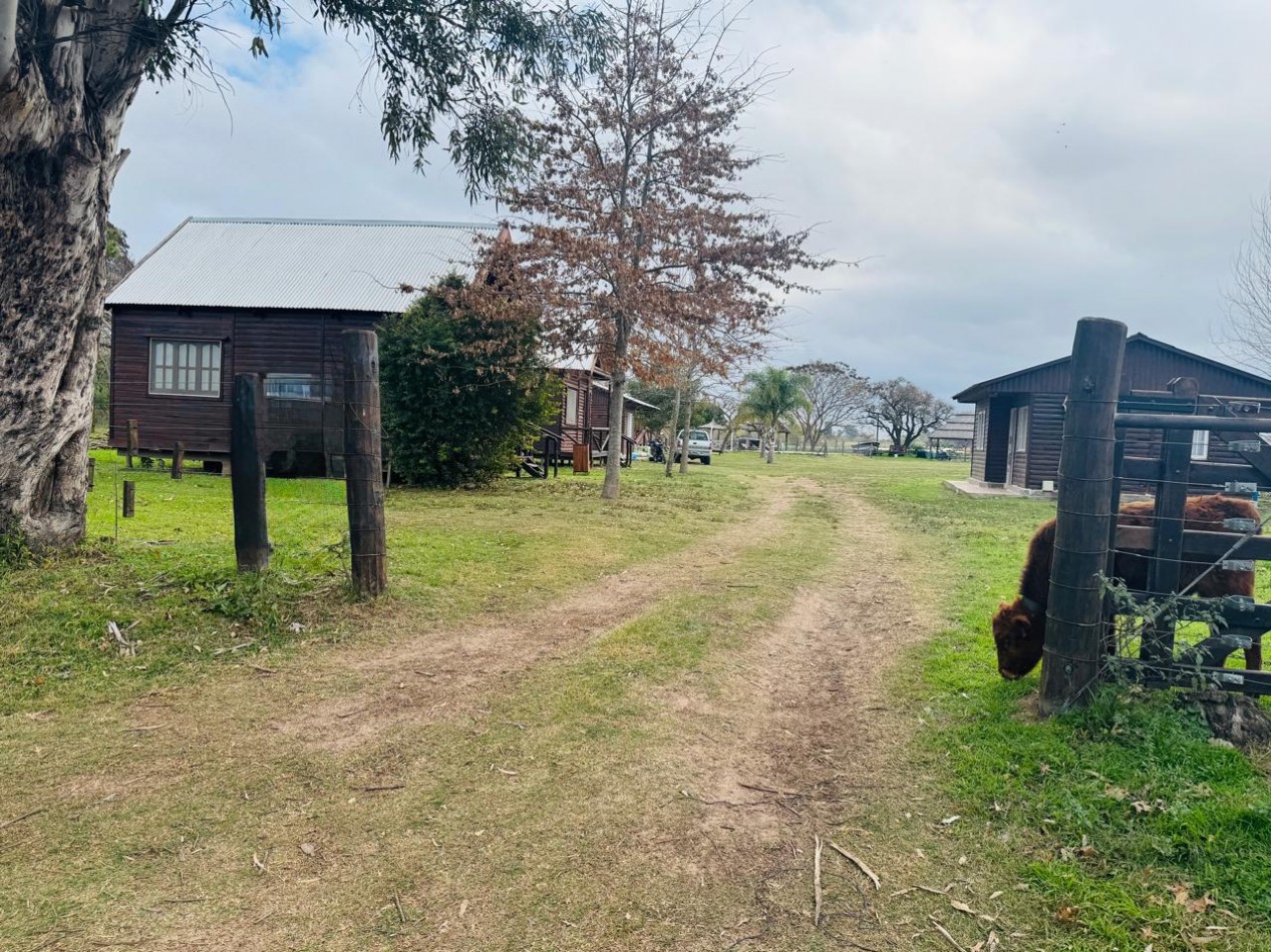 CABAÑAS EN CAMPO DEL MEDIO 
