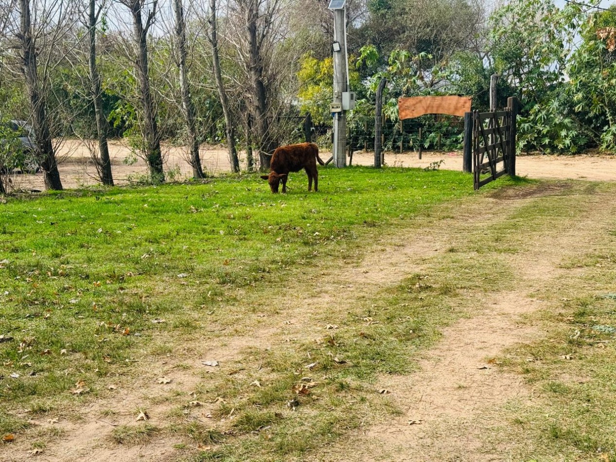 CABAÑAS EN CAMPO DEL MEDIO 