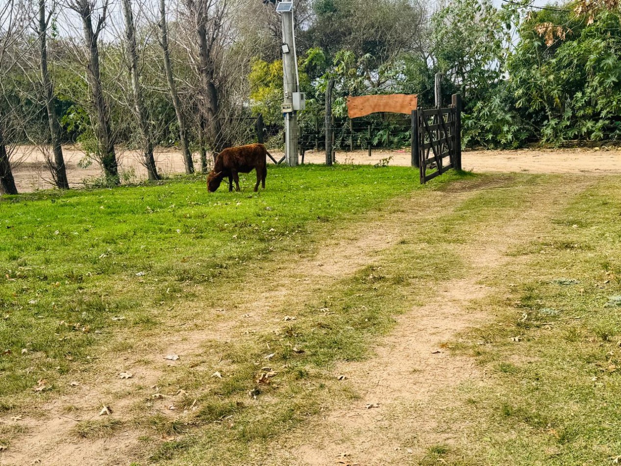 CABAÑAS EN CAMPO DEL MEDIO 